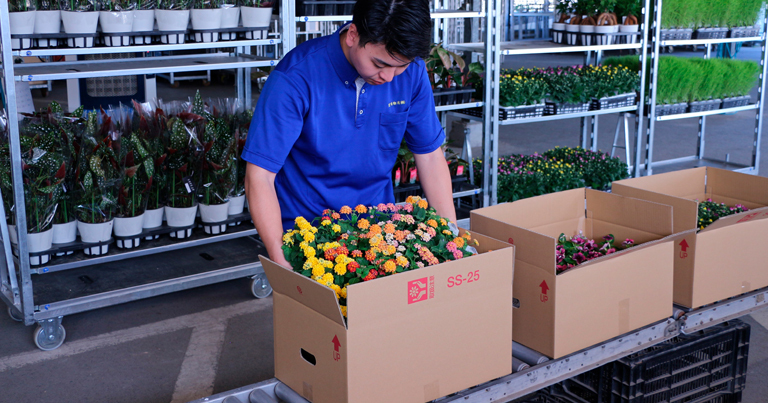 宅配梱包サービス